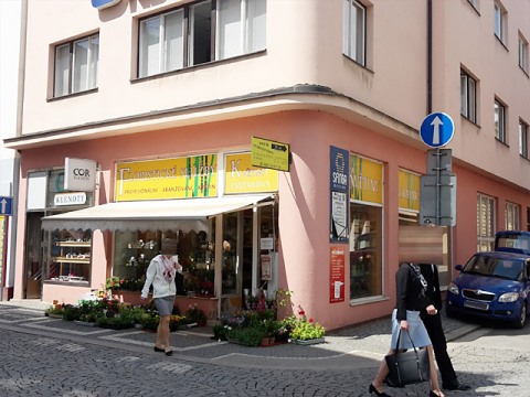 Pron�jem obchod. prostor
